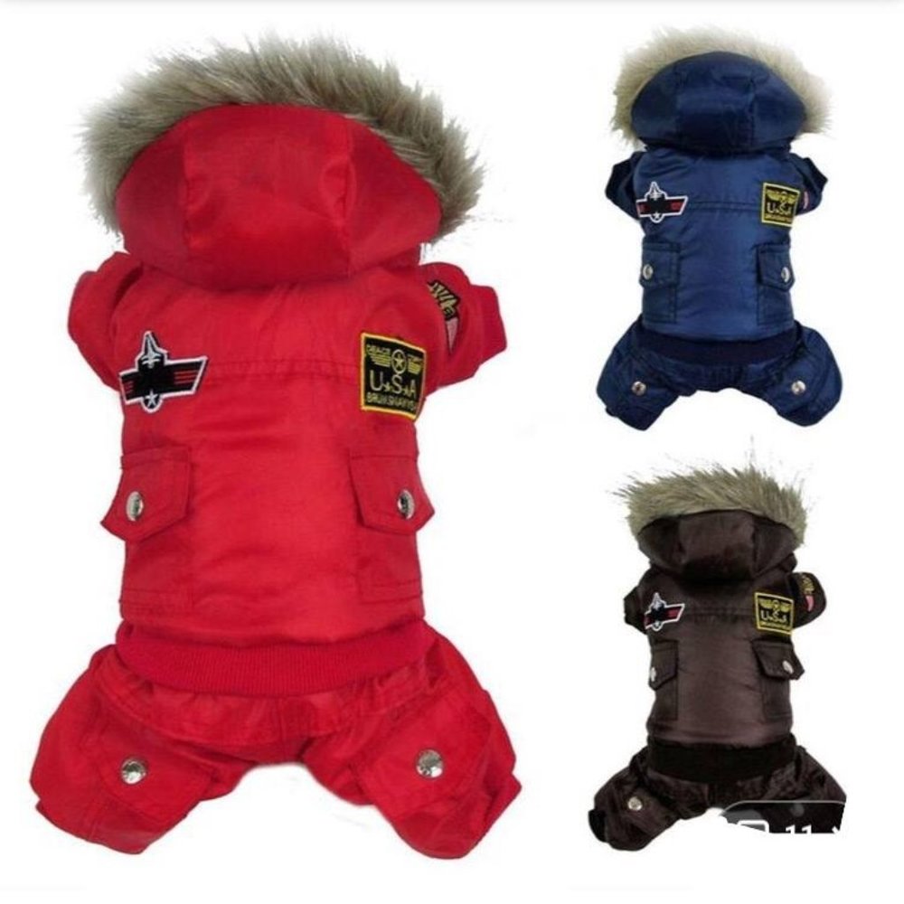 Small Dog Coat